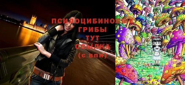 прущая мука Белокуриха
