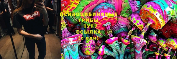 PSILOCYBIN Волосово