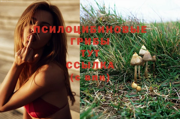 прущая мука Белокуриха