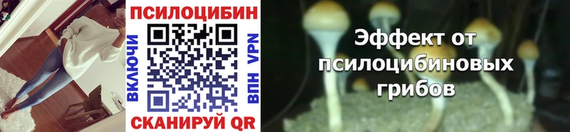 Галлюциногенные грибы Magic Shrooms  цена наркотик  Гороховец 
